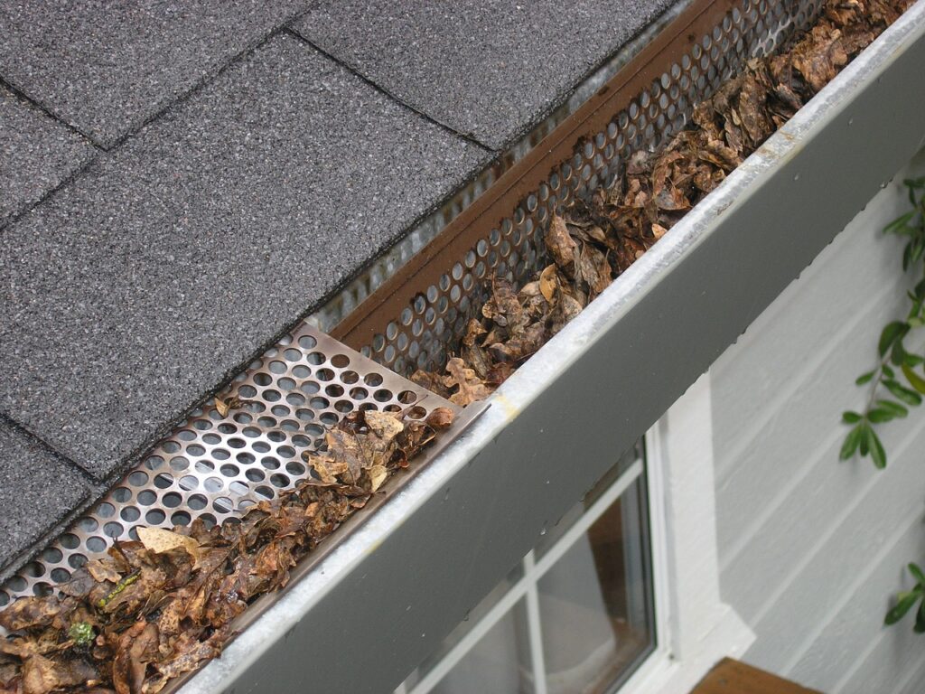 Gutters services