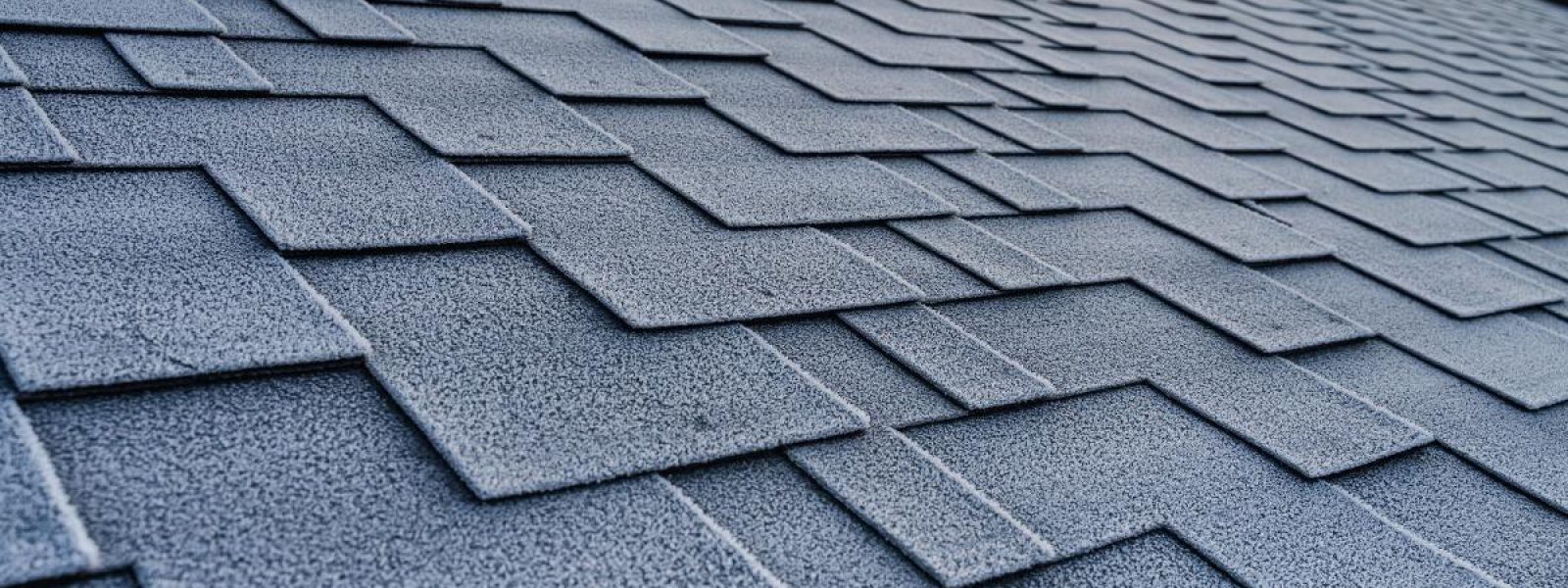 Roof Inspection